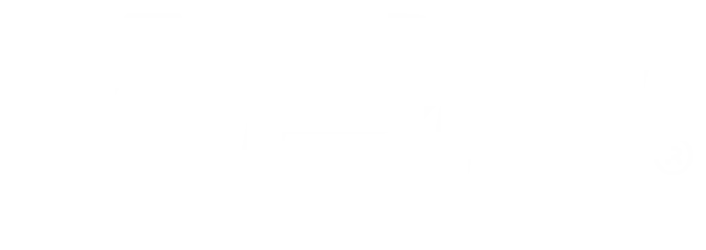 APN logo